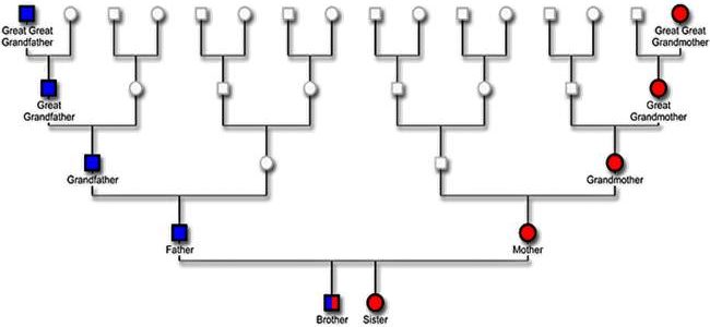 Find Out Where Are Your Maternal Relatives From – Get A Mitochondrial DNA Test