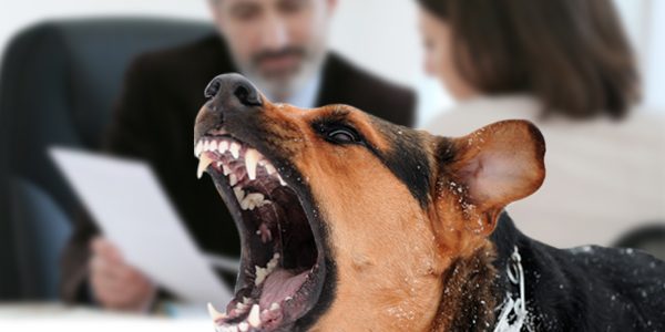 Five Advantages Of Hiring A Dog Bite Attorney