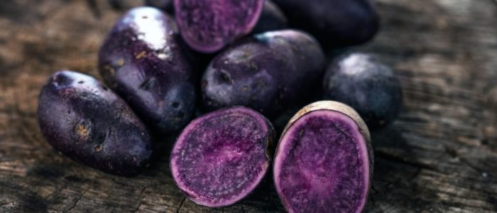 Tips on Growing and Harvesting Purple Potatoes