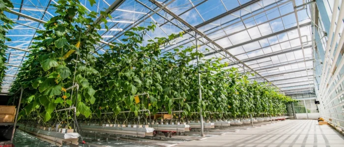 How Controlled Environment Panels Ensure Quality And Efficiency?